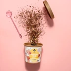 Brown House & Tea x MINTI Shop My Glow Time – suplement diety w formie herbatki na zdrową skórę